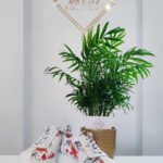 SNEAKERSY WONDERS A-2424 BIAŁE