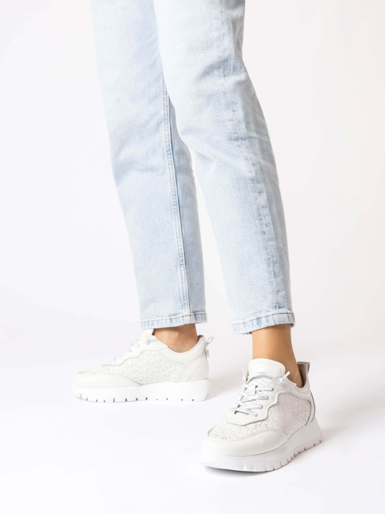 SNEAKERSY-WONDERS-A-2460 -1 SNEAKERSY WONDERS A-2460