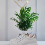 SNEAKERSY WONDERS A-2632 BIAŁE