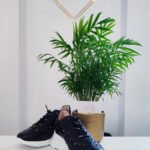 SNEAKERSY AŻUROWE E-6705