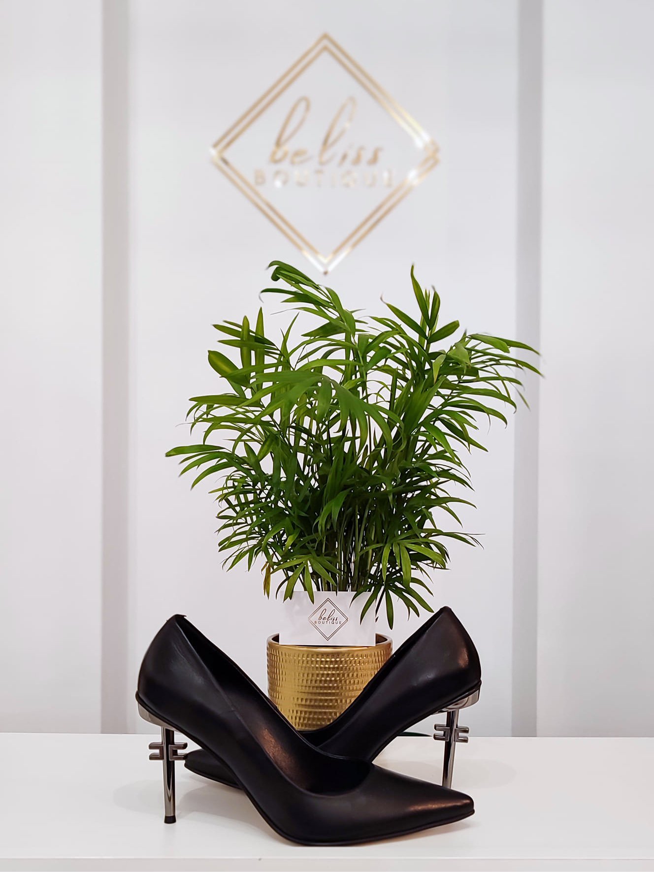 SZPILKI-MAGZA-8626-3