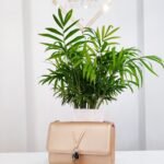 TOREBKA VALENTINO VBS1R403G ZŁOTA